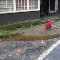 IMGP4463