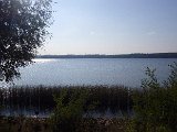 IMGP0778.jpg