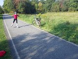 IMGP0794.jpg