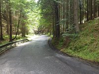 IMGP3871