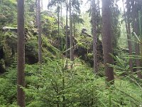 IMGP3949