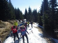 IMGP5290