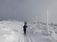 DSC07945