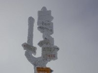 DSC07950