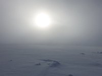 DSC07988