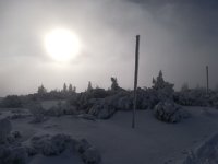 IMG 20171202 125426