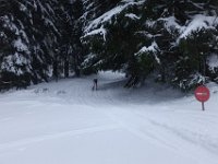 DSC02945