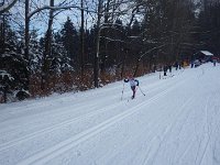 IMGP4914