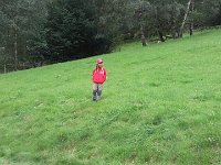 IMG 3447