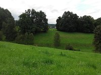 IMG 3459