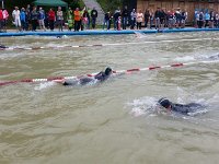 IMG 3494