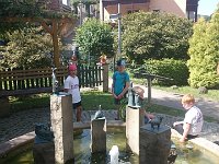 DSC 2010