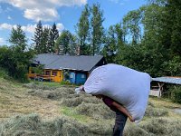 PHOTO-2024-10-18-20-24-32