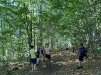 IMG 1178