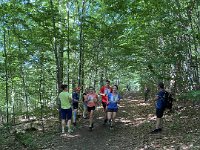 IMG 1180