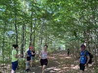 IMG 1181