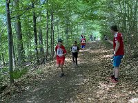 IMG 1197