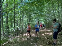 IMG 1201