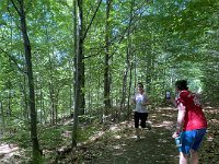 IMG 1212