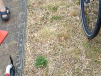 PXL 20240519 130402977.TS