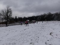 DSC00520