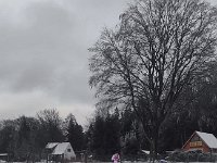 IMG 20241215 142652