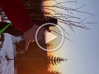 IMG 7366