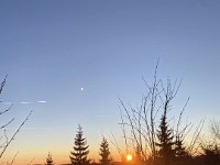 IMG 7368