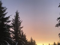IMG 7374