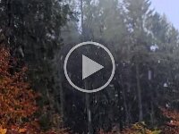 f28d0998-013f-4709-a04d-f617d6635e8c