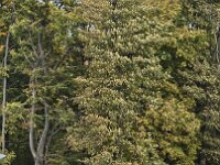 51bcced7-a308-431d-bf83-6005b8189834