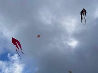 100d4c12-66b9-47e4-ba2a-93927bb6bafc