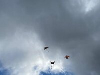 17a9a2c7-9c55-4a51-b6d6-bd6a23dcdeee