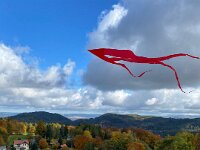 5e625f8d-5abf-41f4-949b-ffd323079ace