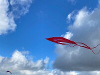 b48ffebf-3278-413d-8e9b-21779b000ee6