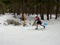 IMG 8784