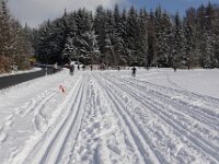 DSC01401