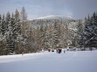 DSC01516