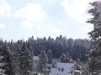 DSC01565