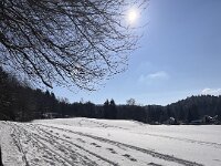 IMG 9395