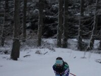 DSC05300