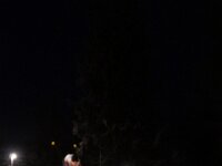 DSC05458