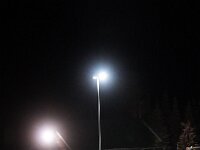 DSC05499