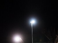 DSC05502