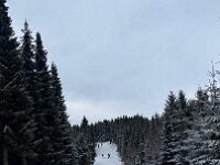IMG 2072