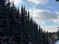 IMG 2094