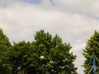 DSC07671