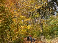 3f723bbf-38a7-4074-bf60-658fd955adff