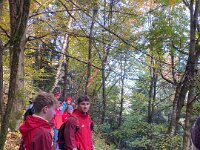 60ff59ce-2286-4a81-860b-ff9eaa21097a