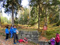 68c62c7f-05c1-4409-b855-0e4f4d734477